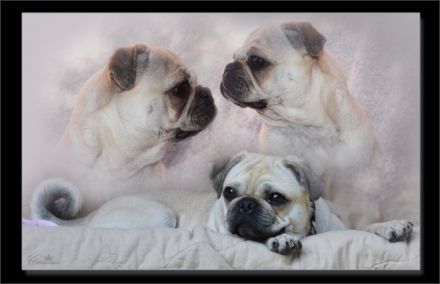 from Home of little Heartbreakers