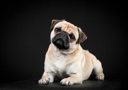 from Home of little Heartbreakers