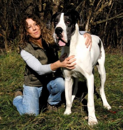 Mobiles Hundetraining und Hundepension