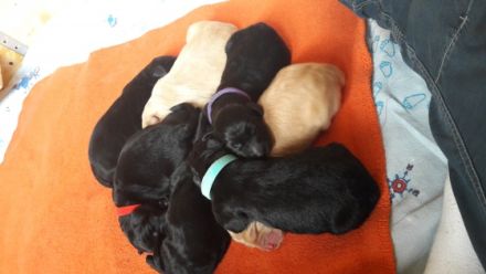 von der Thelen Ranch