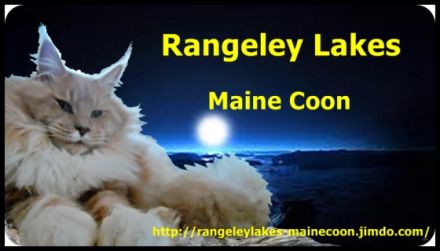 Rangeley Lakes