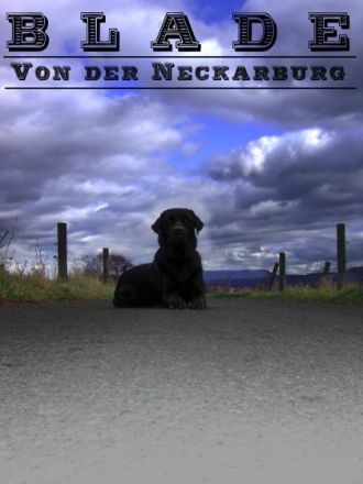 BLADE VON DER NECKARBURG