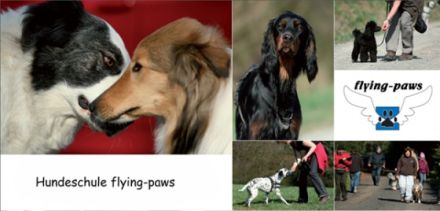 Hundeschule Melsungen