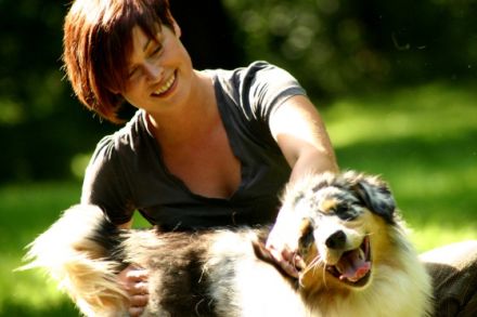 Hundetraining Paradogs