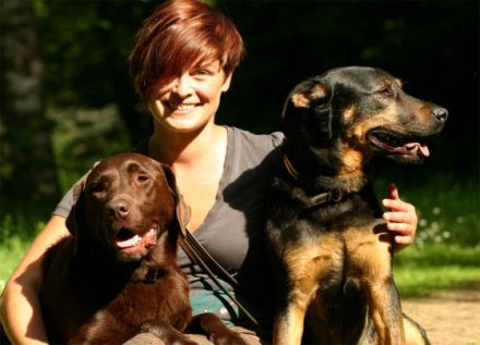 Hundetraining Paradogs