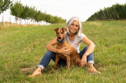 DogsTeam by Vera Schmitz