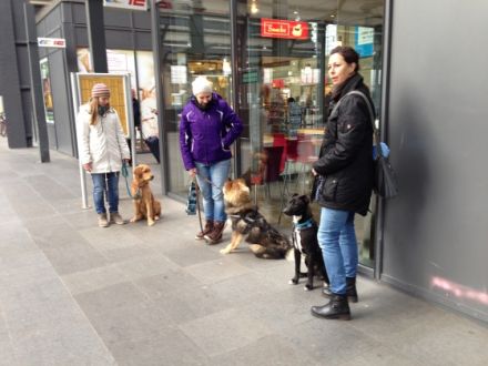 DogsTeam by Vera Schmitz