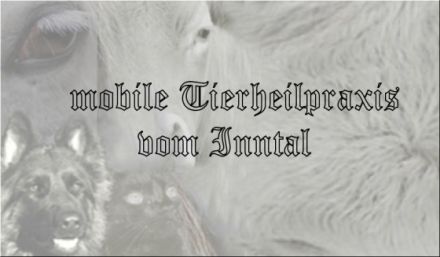 mobile Tierheilpraxis vom Inntal