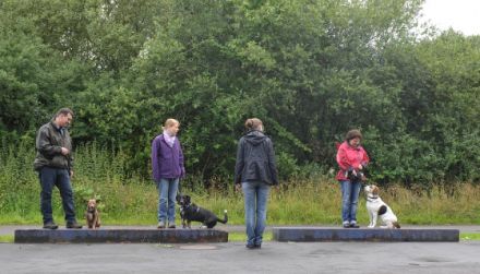 Hundeschule Best Friend Hannover/Isernhagen