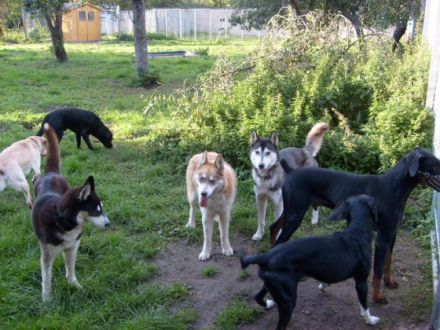 Tierzentrum Rudersdorf