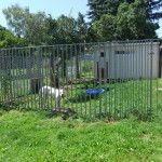 Tierzentrum Rudersdorf