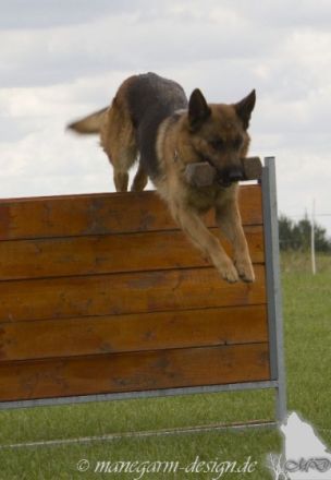 vom Zedtlitzer Dreieck