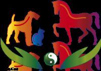 Hunde und Katzen: Praxis Osteopathie, Physiotherapie Seiffarth