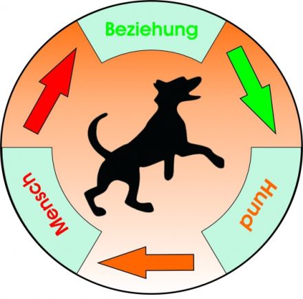 Hund-Beziehung-Mensch