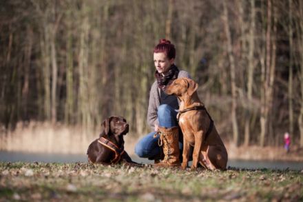 Hundeschule SyMeHu Hannover