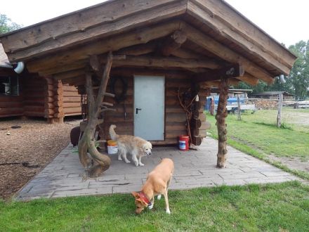 Hundepension & Tagesstätte Heidesee