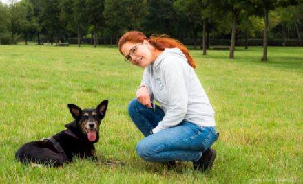 Schnauzen Fell und Pfoten -Mobile Tierheilpraxis für Bochum, Hattingen, Essen und Umgebung