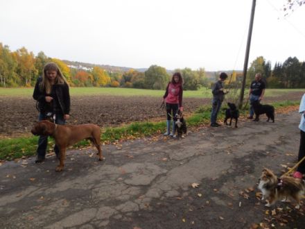 Hundesportverein Herdecke e.V.