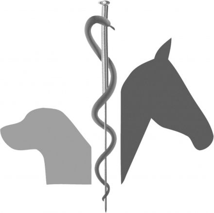 Praxis für Tiernaturheilkunde Nadine Lesmeister