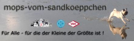 vom Sandköppchen