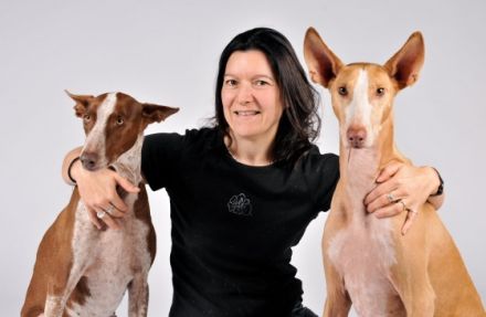 Marions Mobile Hundeschule