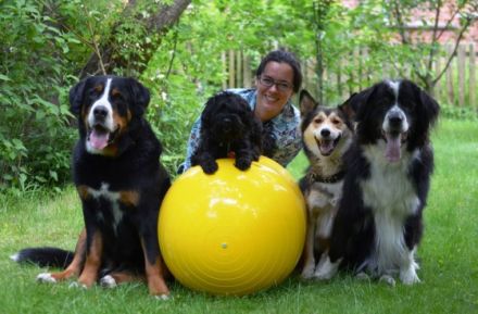 Pension, Training und Physiotherapie für Hunde