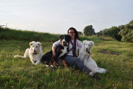 Pension, Training und Physiotherapie für Hunde