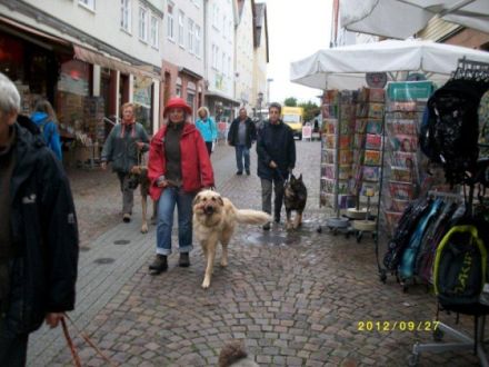 Hundeschule Mein lieber Hund