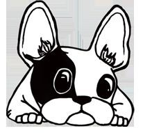 mobile Tierheilpraxis Heike Wieland