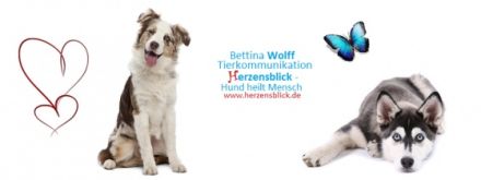 Tierkommunikation www.herzensblick.de