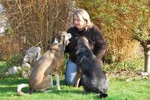 Hundeschule Sonja Stangl