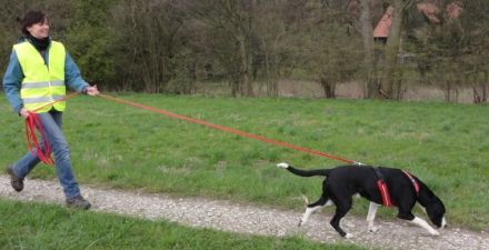 Findehunde.de Simone Resch