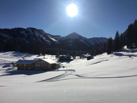 Landhaus Eberle und Hundewandertouren