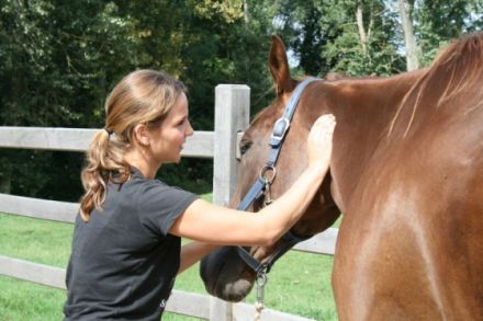 Mobile Praxis für Tierphysiotherapie Martina Görlich