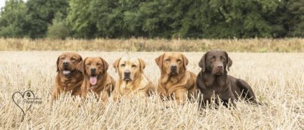 from the Emperors Garden