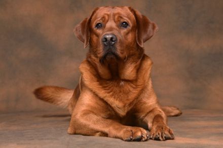 from the Emperors Garden