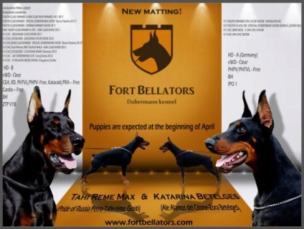 Fort Bellators