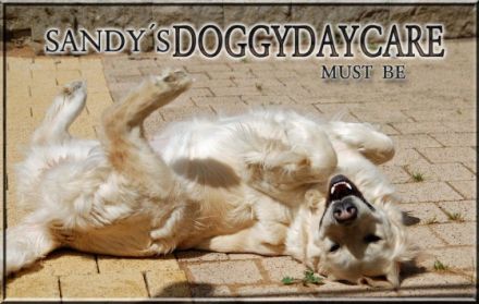Sandy's Doggydaycare