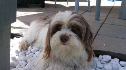 Kalle von Rothschilds Erben