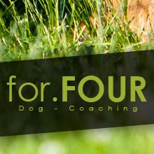 for.FOUR Hundeschule Rostock