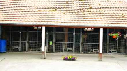 Hundepension Pentavita
