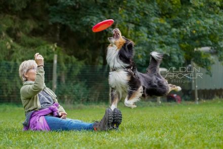 Hundeschule & Praxis für Verhaltensmedizin Dr. Sandra Bruns