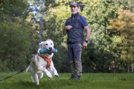 Hundeschule & Praxis für Verhaltensmedizin Dr. Sandra Bruns