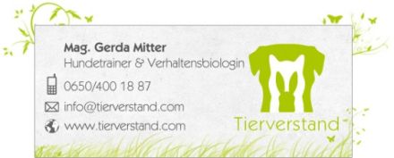 mobile Hundeschule Tierverstand