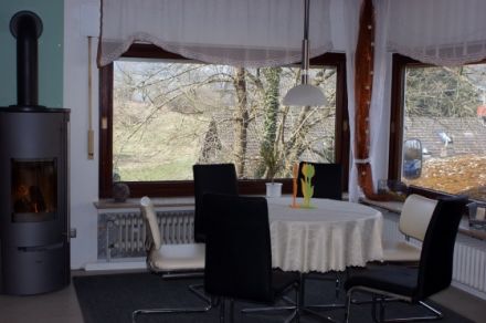 Zaunkönig im Odenwald