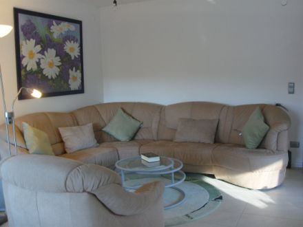 Zaunkönig im Odenwald