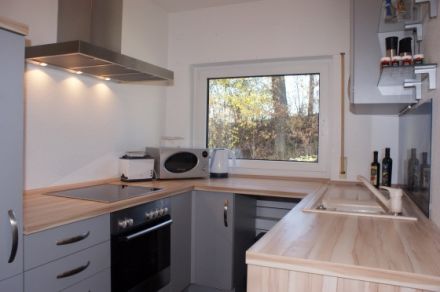 Zaunkönig im Odenwald