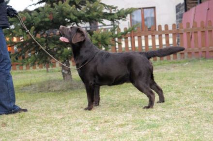 Nenuoramos Winter Boy