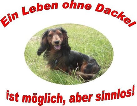 Merlin from the Blue Dust