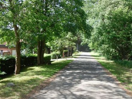 Ferienhaus Elbe-Ilenpooll